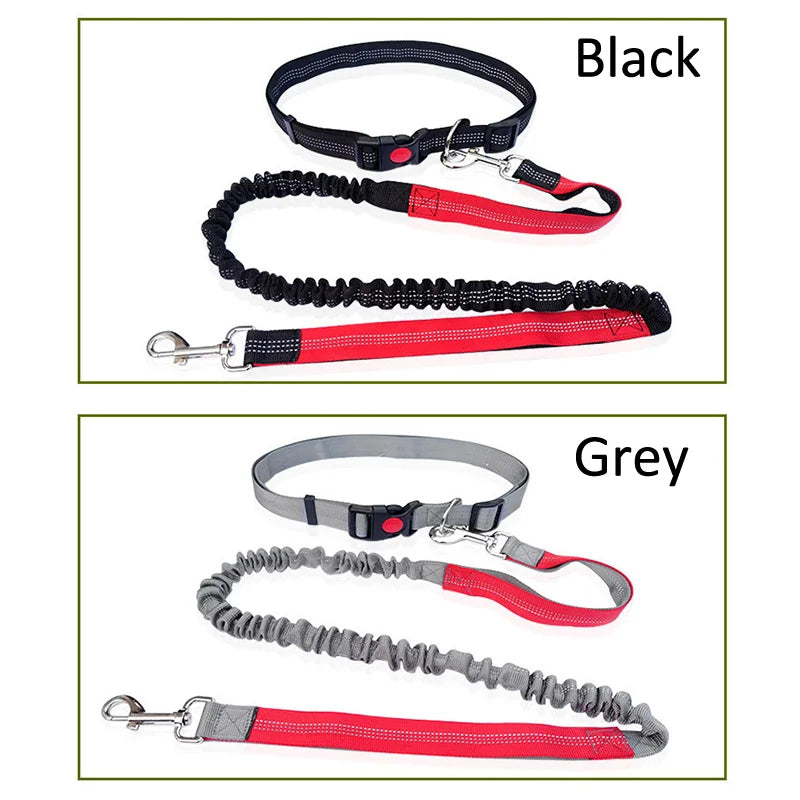 Strap azier fähige elastische Nylon-Hunde leine zum Laufen und Gehen von Haustier leine mit bequemem Griff, ideal für aktive Hunde und Tierhalter