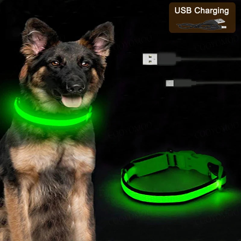 Hunde Leuchtende Ladung Halsbänder Led USB Katze Hundehalsband