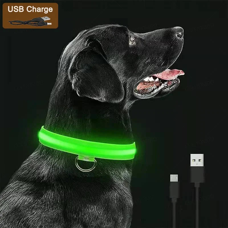 Hunde Leuchtende Ladung Halsbänder Led USB Katze Hundehalsband