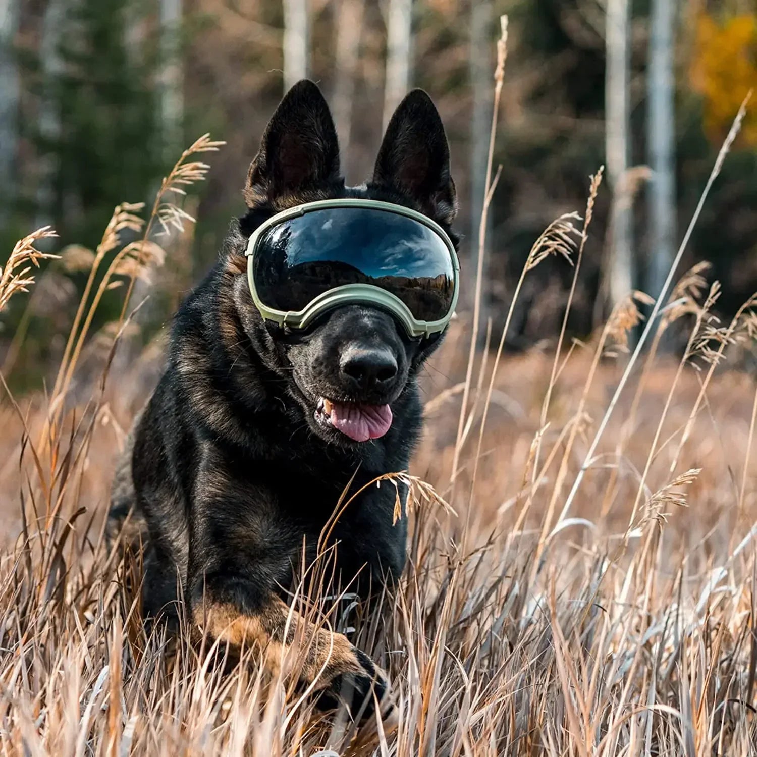 ATUBAN Hundebrille, Anti-UV, starke Schlagfestigkeit, verstellbar, elastisch, für Welpen, große Rasse, Hundebrille, atmungsaktive Haustier-Sonnenbrille
