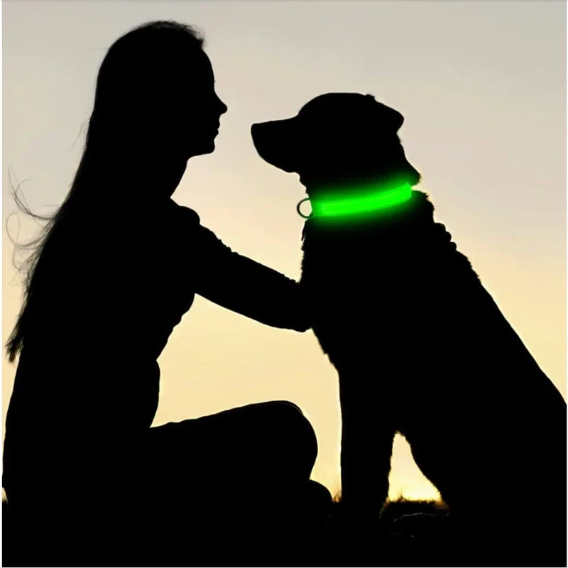 Hunde Leuchtende Ladung Halsbänder Led USB Katze Hundehalsband