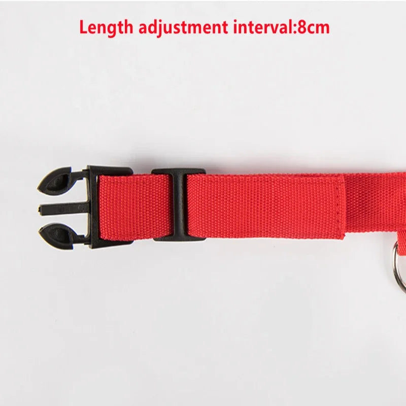 Hunde Leuchtende Ladung Halsbänder Led USB Katze Hundehalsband