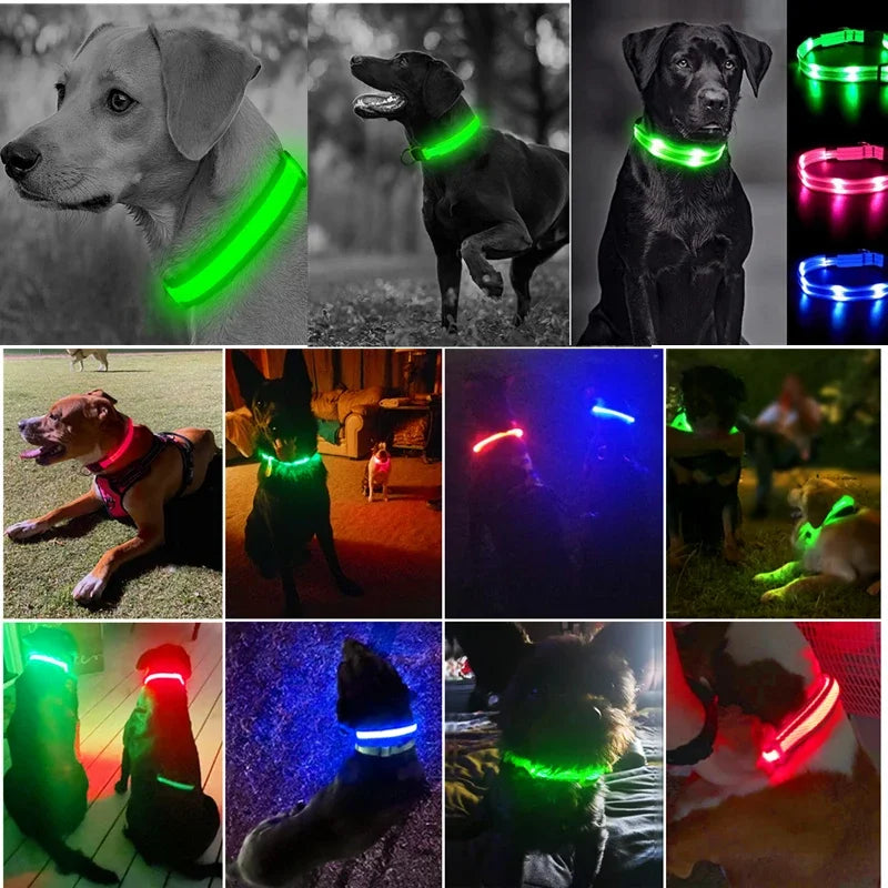 Hunde Leuchtende Ladung Halsbänder Led USB Katze Hundehalsband