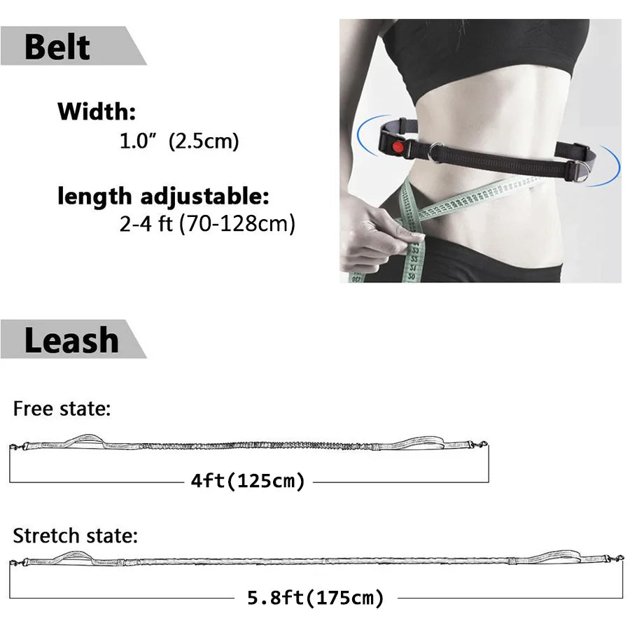 Strap azier fähige elastische Nylon-Hunde leine zum Laufen und Gehen von Haustier leine mit bequemem Griff, ideal für aktive Hunde und Tierhalter