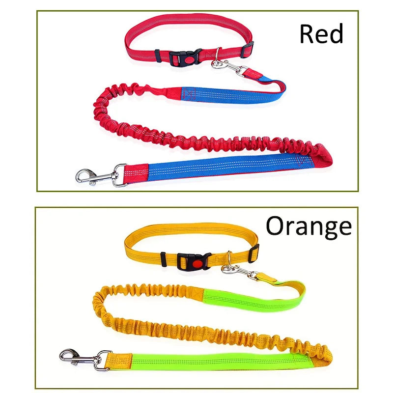 Strap azier fähige elastische Nylon-Hunde leine zum Laufen und Gehen von Haustier leine mit bequemem Griff, ideal für aktive Hunde und Tierhalter