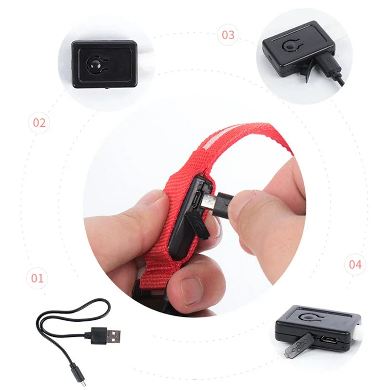 Hunde Leuchtende Ladung Halsbänder Led USB Katze Hundehalsband